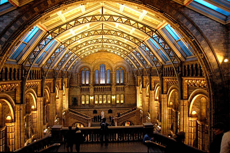 natural history museum